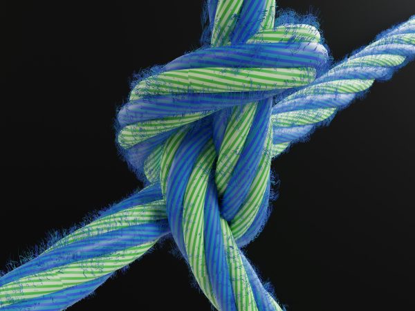 Top‑Rope Essentials: Movement Efficiency and Belay Theory (Digital)